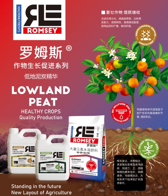 微信截图_20240803203315.png